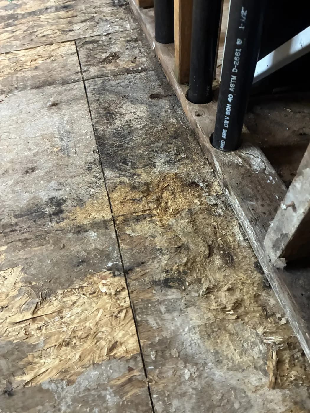 Water-damaged subfloor with stained OSB, wood framing and PVC piping showing moisture infiltration