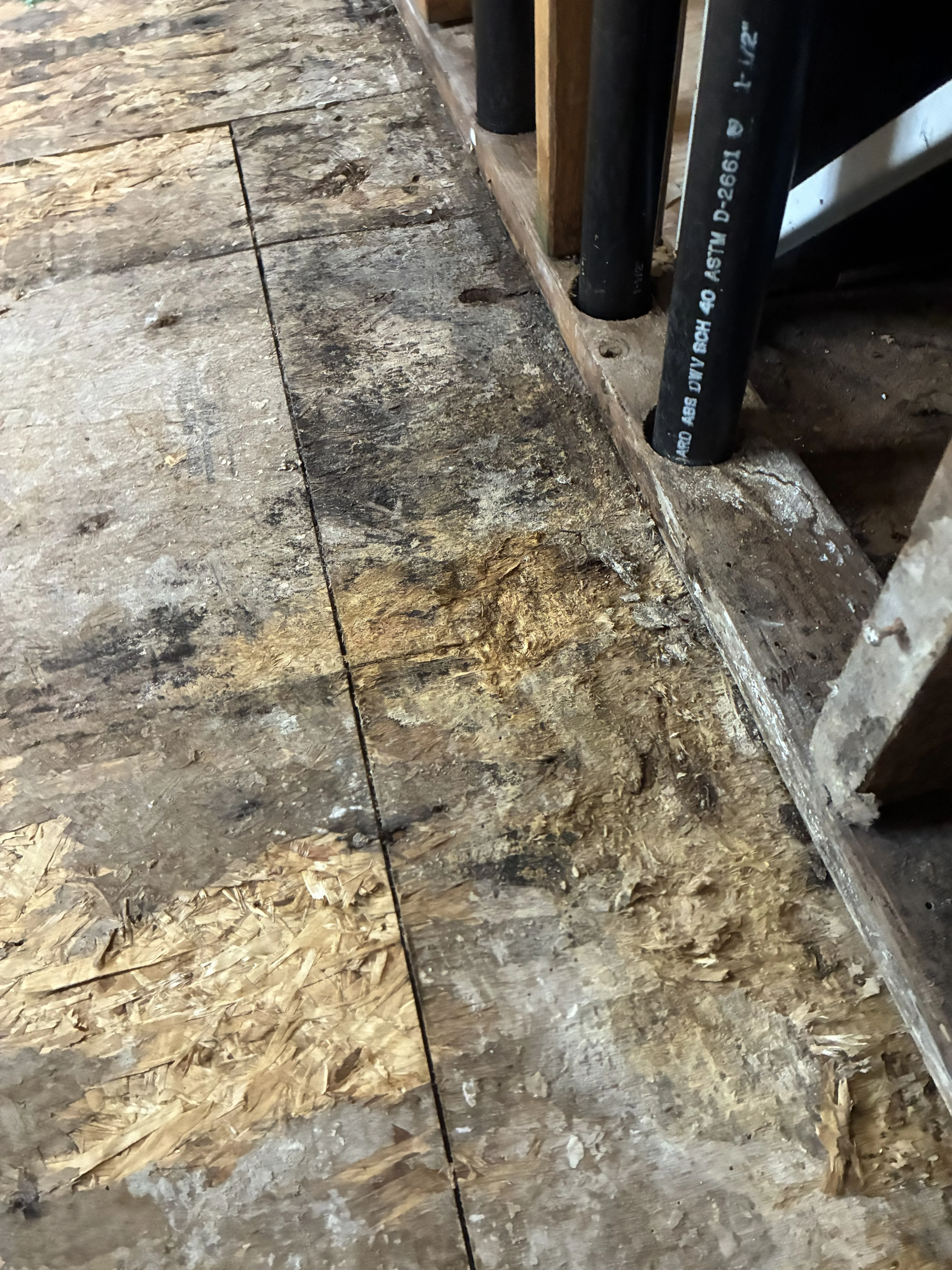Water-damaged subfloor with stained OSB, wooden framing, and PVC piping showing moisture infiltration